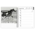 thumbnail image 3 of The BrownTrout Portrait Series The Noble Horse | 2025 6x7.75" Engagement Planner, 3 of 9