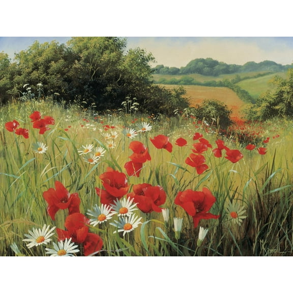 Art.com Sunlit Meadow Art Print by Mary Dipnall, 16" x 12"