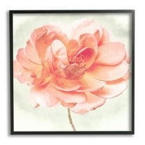 Stupell Industries Soft Pink Dahlia Botanical & Floral Painting Black Framed Art Print Wall Art, 12 x 12