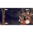 thumbnail image 1 of Offset Deer and Buck in Woods License Plate, 1 of 1