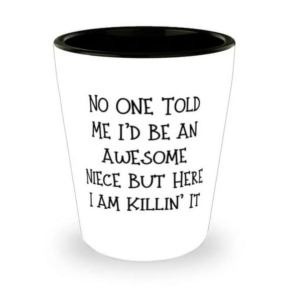 Gag Niece Shot Glass, No One Told Me I'd Be An Awesome Niece But Here I Am', Gifts For Niece, Present From Aunt, Ceramic Cup For Niece