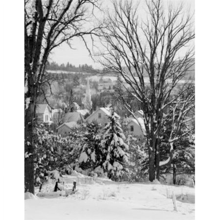 USA New Hampshire Village of Whitefield Through Elm Trees Poster Print - 18 x 24 in.