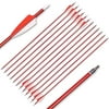 CUPID 7.6mm 31" Aluminum Arrows Target Practice Hunting Arrows Spine 450 with Removable Tips for Compound & Recurve Bow(Pack of 12) (red)