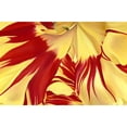 thumbnail image 3 of Poelstra-Holzhaus, Yvonne 18x13 Black Modern Framed Museum Art Print Titled - Alone, 3 of 5