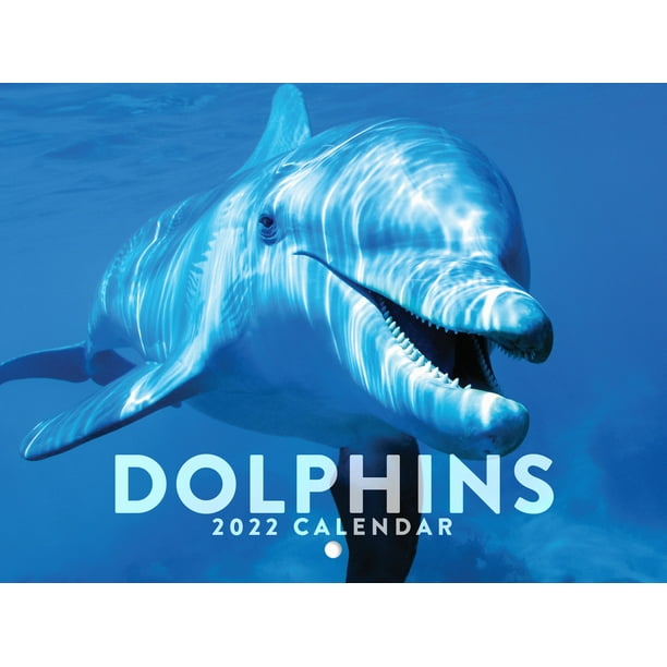Dolphin Calendar 2023 Monthly Wall Hanging Calendars Cute Animals