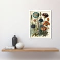 thumbnail image 2 of Vintage Botanical Illustration Ernst Haeckel Inspired Plant Study Modern Watercolour Painting Art Print Framed Poster Wall Decor 12x16 inch, 2 of 5