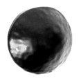 thumbnail image 1 of 3/4" Round Decorative Clavos - Black, 1 of 1