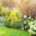 thumbnail image 2 of Outsunny 6-Piece Plant Support Set, Trellis for Climbing Plants, 2 of 10