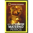 thumbnail image 1 of In the Maternal Womb: Dogs [ NON-USA FORMAT, PAL, Reg.0 Import - Spain ], 1 of 1
