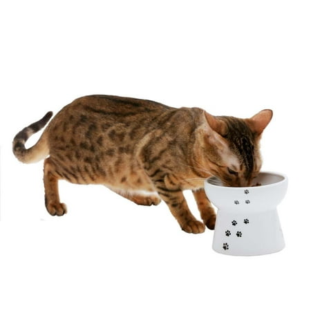 Necoichi Raised Cat Food Bowl Large (Cat)