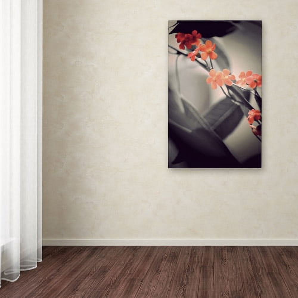 Trademark Fine Art "Soft Grey 1" Canvas Art by Philippe Sainte-Laudy