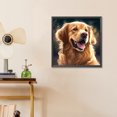 thumbnail image 4 of Pintura de diamante 5D DIY taladro redondo completo Golden Retriever arte artesanal 30x30cm, 4 of 9
