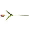 thumbnail image 3 of Bearachild Mini flor artificial, lirio único, tulipán, flor monarca, flor falsa de PU, decoración para el hogar y la Oficina, decoración para Flores artificiales morado claro Bearachild HA6563-06B, 3 of 6