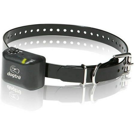 No Bark Collar Reviews For Small Dog No Bark Collar Reviews For Small Dog