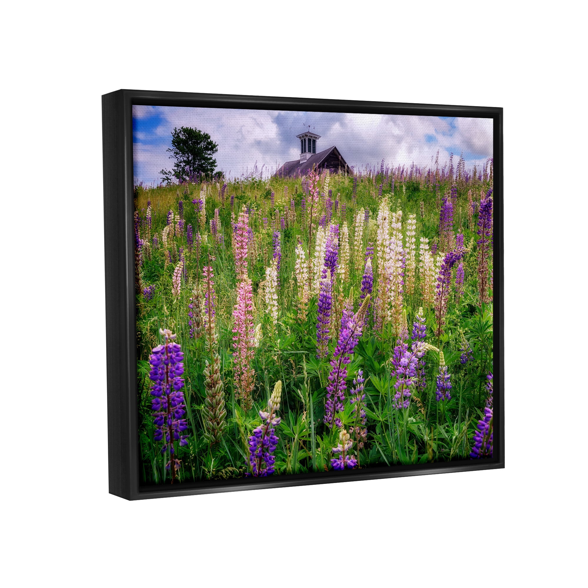 Stupell Wild Lavender Field Grassland Landscape Photography Black Floater Framed Art Print Wall Art