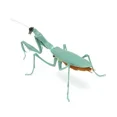 thumbnail image 1 of Insects Gashapon Big Picture Book Series Mantis Spider Scorpion Wasp Simulation Insect Action Figure Model Toys, 1 of 5
