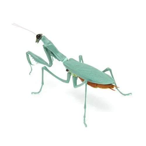 Insects Gashapon Big Picture Book Series Mantis Spider Scorpion Wasp Simulation Insect Action Figure Model Toys