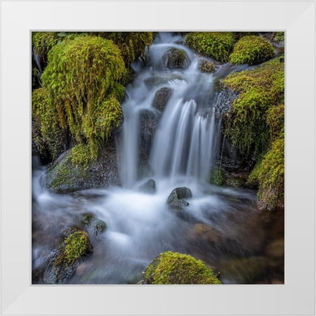 Jaynes Gallery 12x12 White Modern Wood Framed Museum Art Print Titled - USA-Washington State-Olympic National Park Cedar Creek cascades through moss- covered boulders