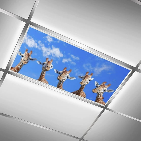 Fluorescent Light Covers for Ceiling Lights Classroom Office 4' x 2' Feet, Giraffe Eliminate Harsh Glare Causing Eyestrain and Headaches