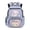 Axolotl Space, variant on HUIACONG 17 Inch Fish Baseball Camo Backpack for Students 12-18, Durable School Bookbag for Middle High School Teens Sports