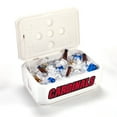thumbnail image 2 of White Louisville Cardinals 40-Can Cornhole Cooler, 2 of 2