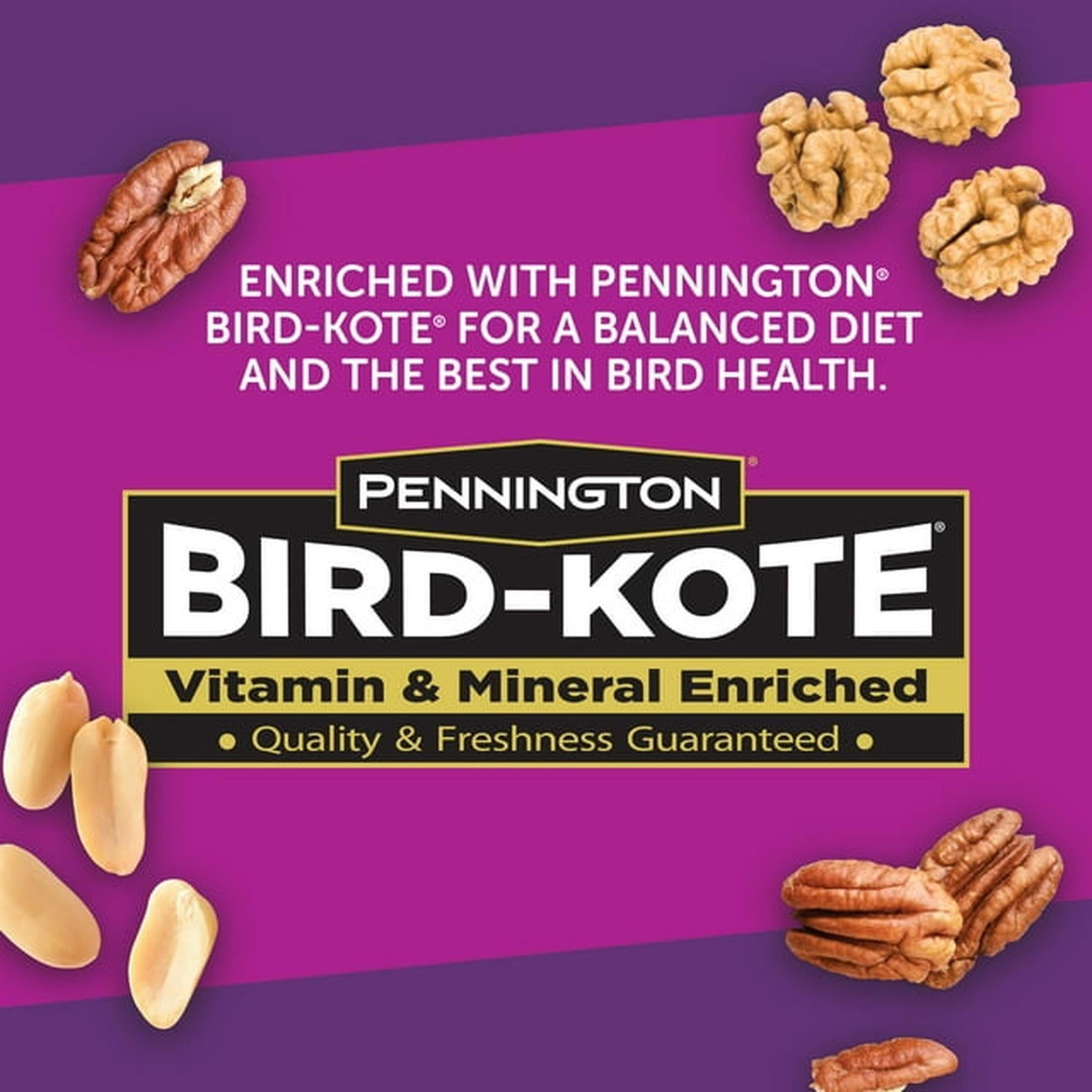 Pennington Black Ecozebo 6lb Capacity Wild Bird Starter Kit with Bird Feeder and Feed