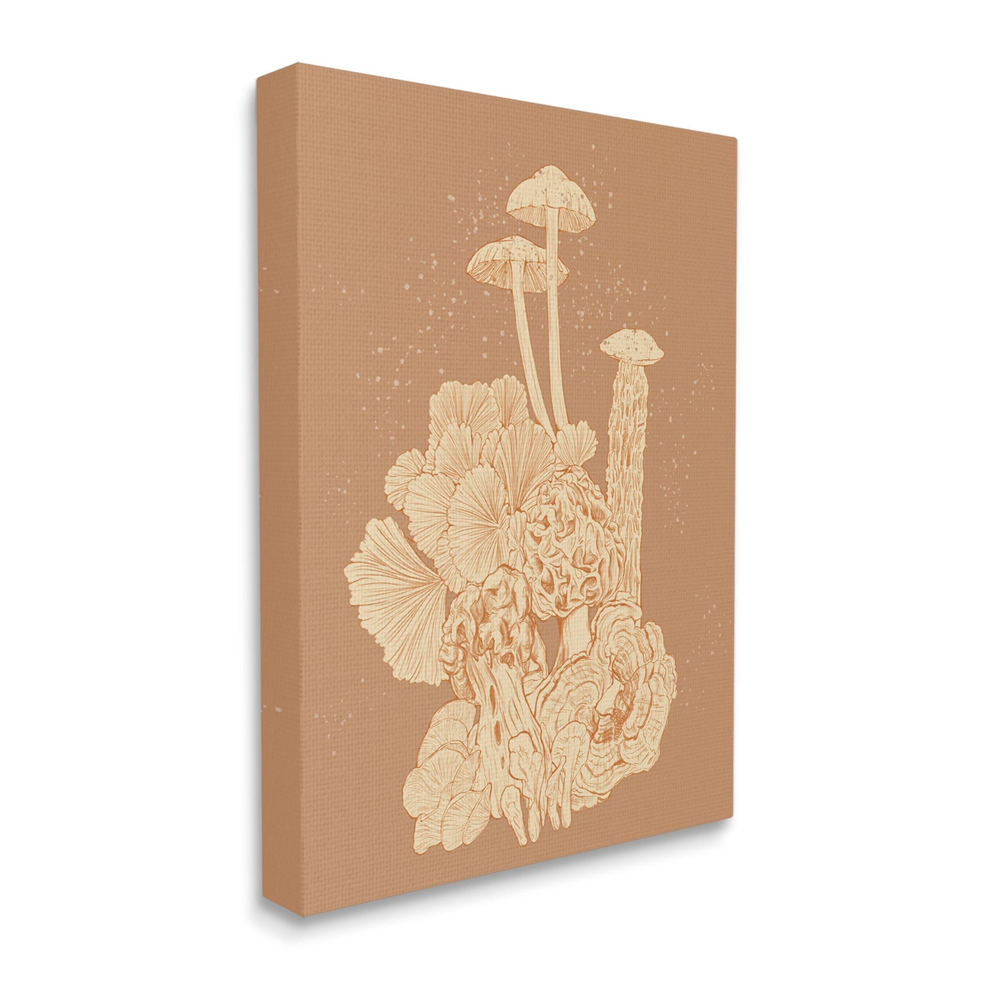 Stupell Industries Woodland Nature Varied Mushrooms Botanical & Floral Painting Gallery Wrapped Canvas Print Wall Art
