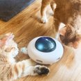 thumbnail image 4 of Eléctrico Spinning Turntable Kitten Pet Electric Cat Teaser Juguete Smart Feather Stick Tmvgtek Ofspeizc, 4 of 9