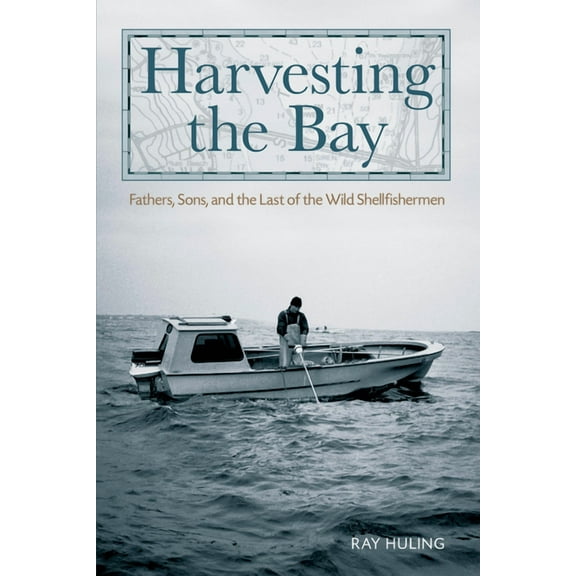 Harvesting the Bay : Fathers, Sons And The Last Of The Wild Shellfishermen (Hardcover)