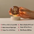 thumbnail image 3 of Luz nocturna IFOLAINA con forma de árbol de la vida, bola de cristal con base de 60 mm, 3 of 6