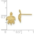 thumbnail image 3 of FJC Finejewelers 14k Yellow Gold Sea Turtle Post Earringstext, 3 of 3