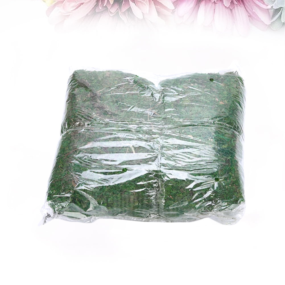 FRCOLOR Artificial Moss Craft Artificial Moss Lichen Green Synthetic Material 1Pack Relieve Eye Fatigue Kitchen