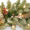 thumbnail image 3 of National Tree Company Pre-Lit Artificial Christmas Wreath, Green, Dunhill Fir, White Lights, Decorated with Pine Cones, Frosted Branches, Berry Clusters, Christmas Collection, 24 Inches, 3 of 5