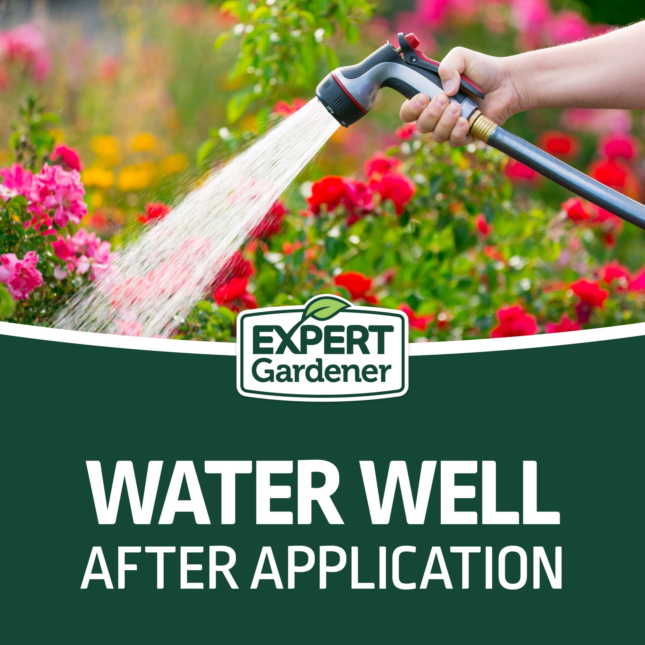 Expert Gardener All Purpose Plant Fertilizer, 10-10-10 Fertilizer, 10 lb.