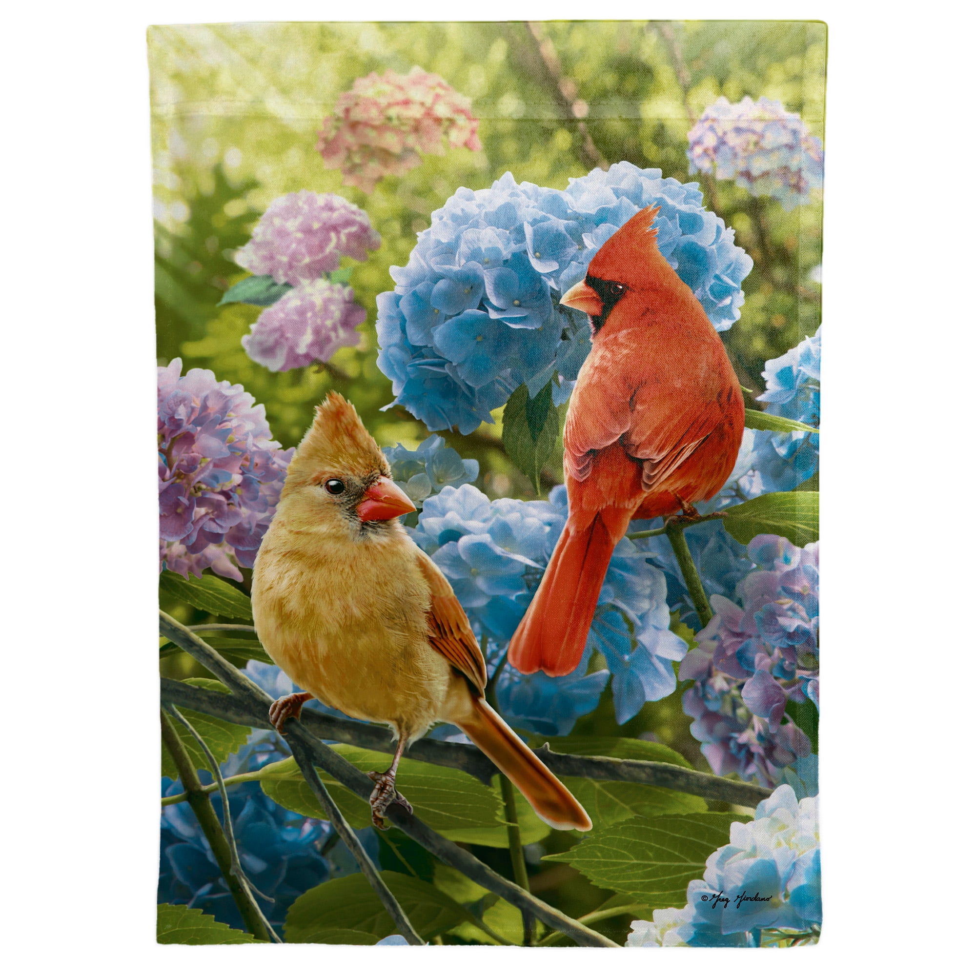 特別価格Spring Garden Cardinal Kitchen Decor Dishwasher Magnet Cover, Magnetic Refrigerator Front Lid Decal, Kitchen Cabinet Appliance Decorat並行輸入