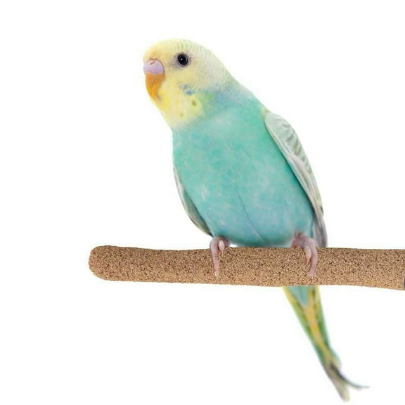 Super Bird Creations SB1151 Sure-Grip Grooming Perch Small, Small Bird Size - Enriches Beak and Foot Health - Ideal for Parrotlets Parakeets Finch Canary - Small Bird Size, 1/2" diam x 6" (Small)