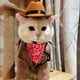 thumbnail image 3 of Disfraz de vaquero para perro Encell, minisombrero marrón y pañuelo rojo S, 3 of 4