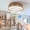 D530-White, variant on 19-inch Black Ceiling Fan Light with LED RGB – Dimmable & Color-Changing, APP & Remote Control, Modern Smart Ceiling Fan for Living Room, Bedroom, and Dining Room Silent/6-Speed/DC Motor(D500-Black)
