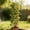 Gold1, variant on 1 Pcs Wooden Trellis - 16 Inch Garden Trellis for Potted and Climbing Plants, Stackable Support Stakes for Garden, Houseplants, and Flower Stems (Gold2)