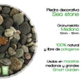 thumbnail image 2 of Piedra Decorativa - Ideal para macetas, Jardines, decoración Smart Garden Granulometría Mediana, Sea Stone, 2 of 6
