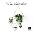 thumbnail image 3 of Umbra Trigg Wall Display (Ensemble de 2), Blanc / Nickel, 3 of 8