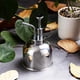 thumbnail image 2 of de Spray de material acero Inoxidable de 300 Ml para Regadera de Interior de Jardinería, de Riego de Suculentas para Exteriores CUTICAT botella de pulverización de plantas, 2 of 8