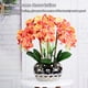 thumbnail image 5 of Inteprter Orquídea artificial Bonsai Phalaenopsis Real Touch Plantas de imitación Orquídeas Arreglos Sala de estar Hogar Adornos de boda Decoración Naranja, 5 of 6