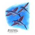 thumbnail image 3 of CafePress - Bandwing Flying Fish Mug - 11 oz Ceramic Mug - Novelty Coffee Tea Cup, 3 of 6