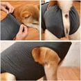 thumbnail image 2 of UOSIA Dog Recovery Suit Abdominal Wound Puppy Surgical Clothes Post-Operative Vest, 2 of 5