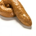 thumbnail image 4 of Funny Turd Crap Toilet Practical Joke Realistic Fake Gag Poop B$FSSUSUSWL, 4 of 6