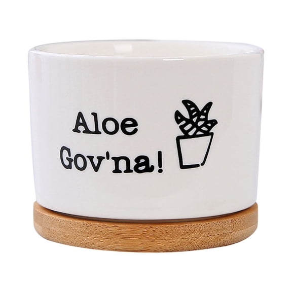 Funny Hand-Painted Ceramic Succulent Pot with Tray, Unique Humorous Design for Indoor Desktop Decor, 4.72"x4.72"x3.94"