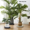 thumbnail image 2 of Roll Around Plant- with Wheeled Planter Pallet, Gray, 2 of 6