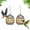 Black, variant on Duslogis 2 Pcs Bird Feeder, Suet Ball Feeders for Outside Hanging, Metal Hanging Bird Feeder with Hooks, Fat Ball Bird Feeder for Wild Birds Outdoor Garden (Gold)