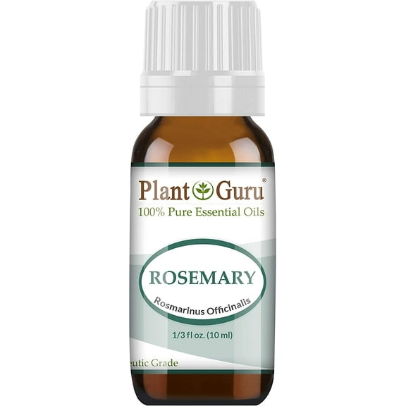 Rosemary Essential Oil 10 ml. 100% Pure Natural Undiluted Therapeutic Grade For Aromatherapy Diffuser, Stimulates Hair Growth and Dandruff Control.